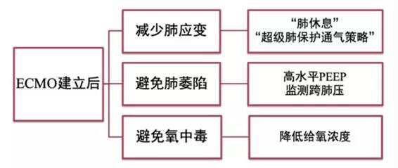 ECMO（專題二）(圖1)